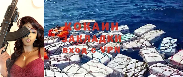 соль ск Новозыбков