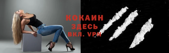 гидра Нефтекумск