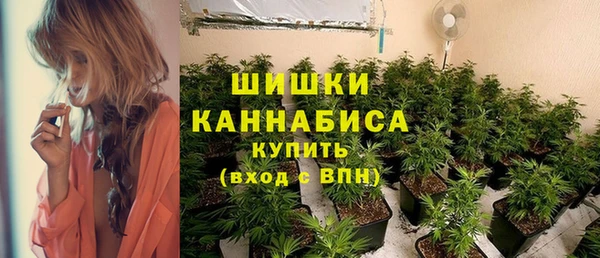 соль ск Новозыбков