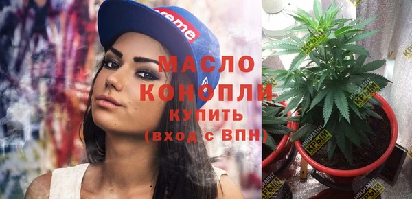 соль ск Новозыбков