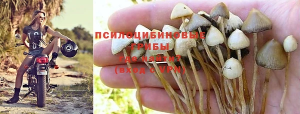 гидра Нефтекумск