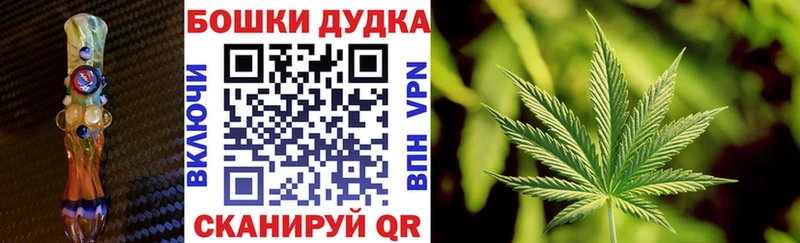 Бошки Шишки марихуана  Сальск 